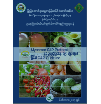 Myanmar GAP(Protocol) နှင့်ဥယျာဥ◌်ခြံသီးနှံ(၉)မျိုးတို့၏မြန်မာGAP Guidelines